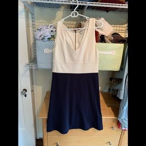 J. Crew Cream and Navy Dress